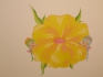 Blumenfee Blumenbett
