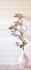 Tapete Streifen beige-rosa-creme
