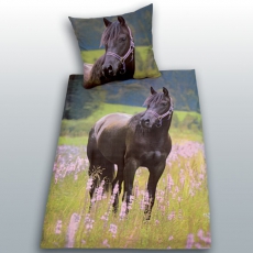 Bettw�sche Pferd
