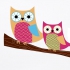 Wandsticker Eulen %